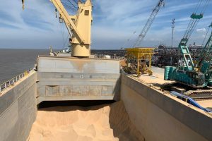 WhatsApp Image 2019-12-19 at 11.56.51 WhatsApp Image 2019-12-19 at 11.56.51